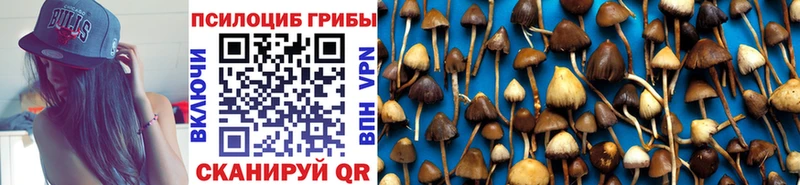 Галлюциногенные грибы MAGIC MUSHROOMS  Видное 