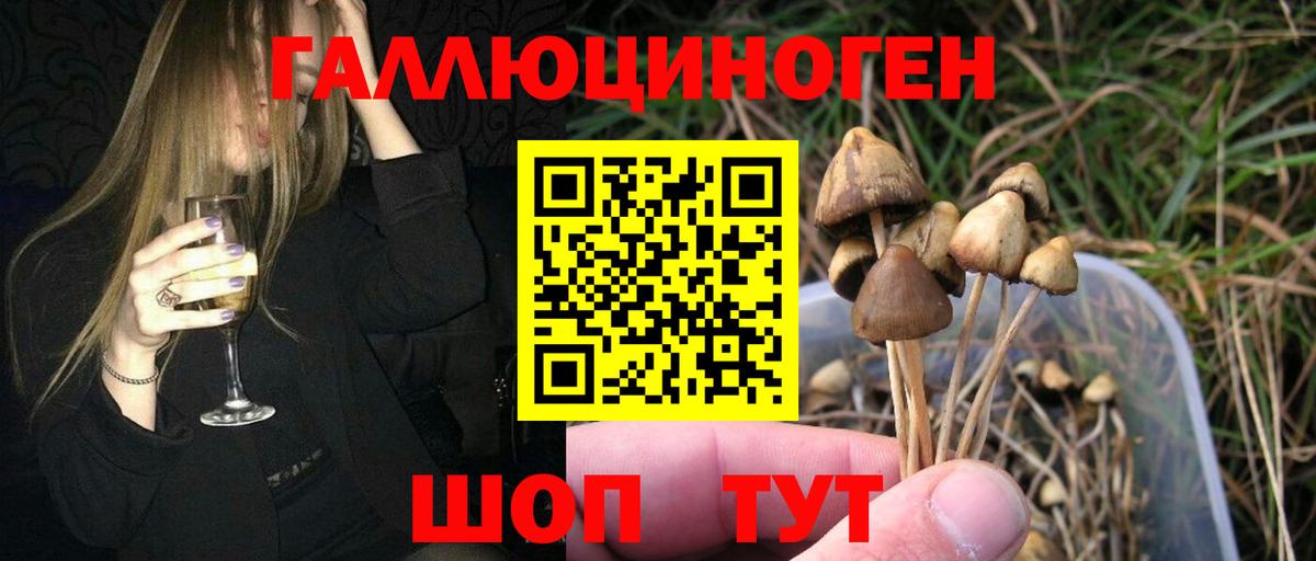 Псилоцибиновые грибы Cubensis  Вход с VPN  Видное  что такое наркотик  Псилоцибиновые грибы Psilocybe 